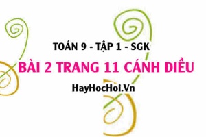 Bài 2 trang 11 Toán 9 tập 1 Cánh Diều: Phương Trình Chứa Ẩn Ở Mẫu